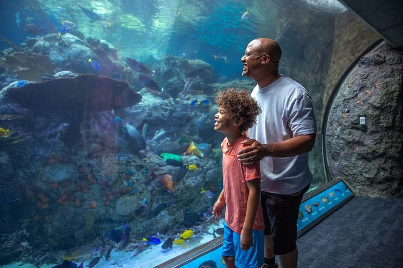 Aquarium of the Pacific Ticket in California - Is the $49.95 ticket good value?