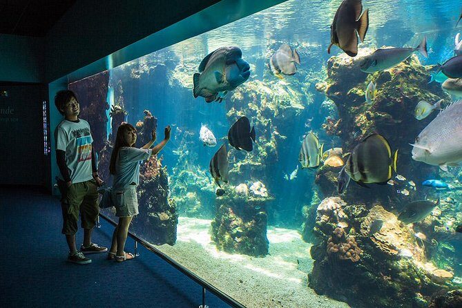 Aquarium Package in Nouméa's with Admission with Hop-on Hop-Off - Good To Know