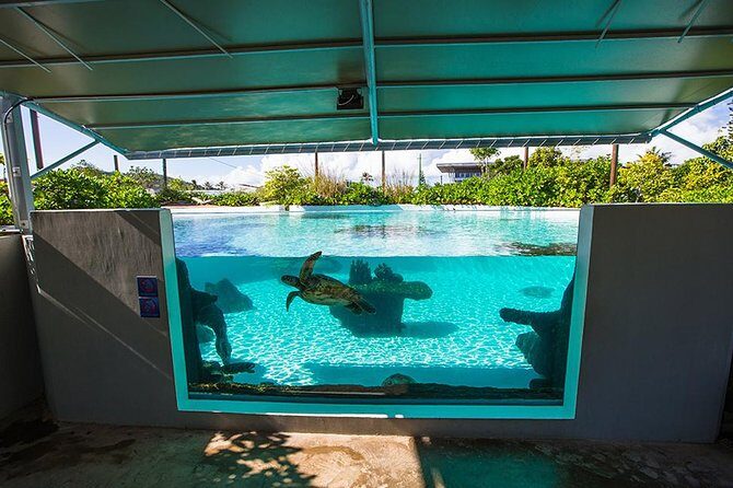 Aquarium Package in Nouméa's with Admission with Hop-on Hop-Off - FAQ: Your Practical Questions Answered