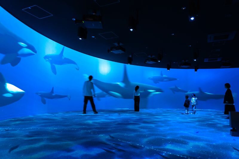 AQUARIUM PARK AOAO SAPPORO (Hokkaido) - Jellyfish, fish, and smaller surprises