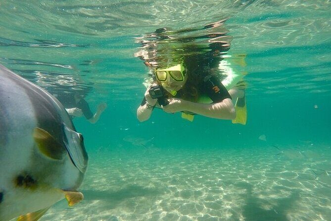 Aquascene Circumnavigation Magnetic Island Tour - Frequently Asked Questions