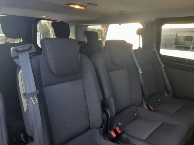 Aquashow Private Taxi From Albufeira Return Includuded - Languages and Accessibility