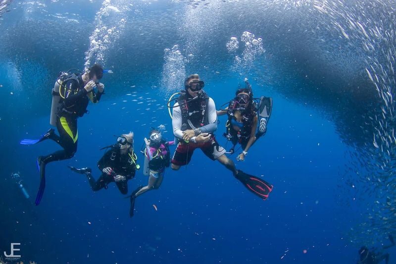 Aquatic Awakening: Open Water Course in Bohol with PADI 5* Center - Should you book this course?