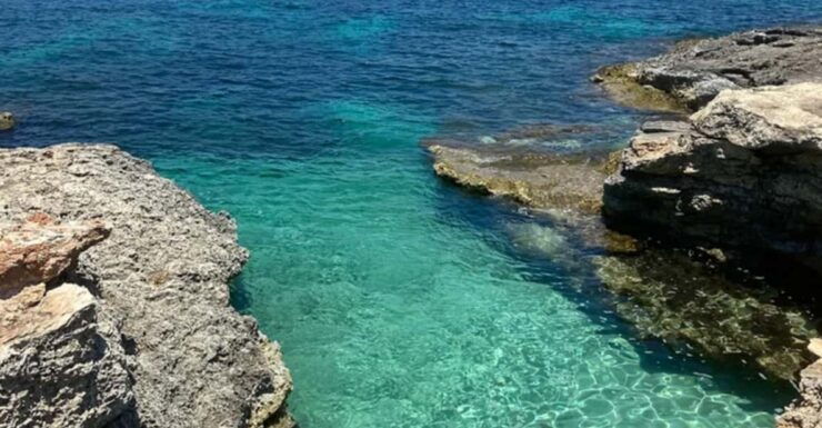 Aquatic Day Escape - Trips in Gozo, Comino & Malta - Good To Know