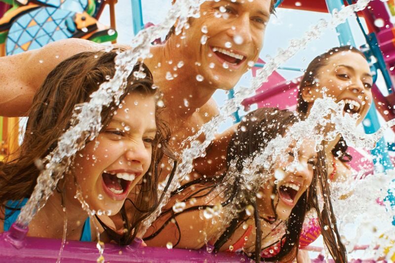 Aquatica Orlando Ticket - The lazy river, wave pool and dolphin tubes