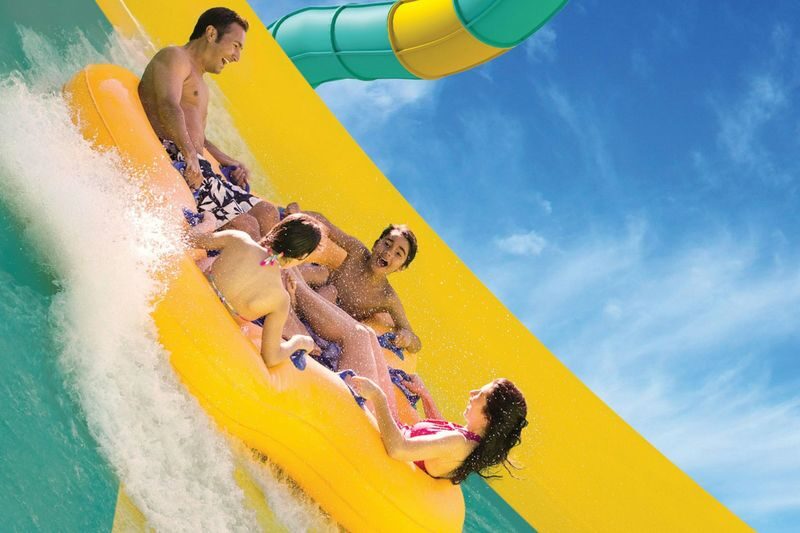 Aquatica Orlando Ticket - AquaGlow evenings and weekend movies