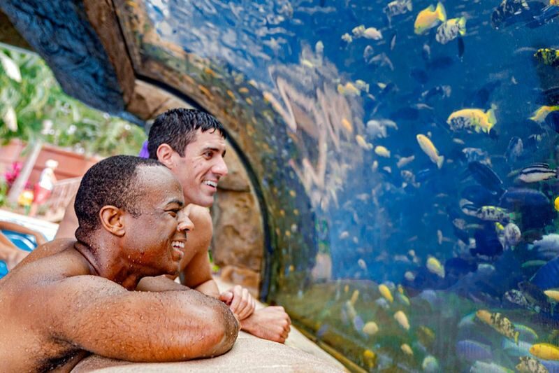 Aquatica Orlando Ticket - Is the ticket good value?