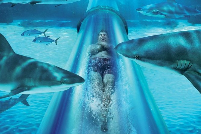 Aquaventure and Lost Chambers Admission Tickets in Dubai - Pricing and Options