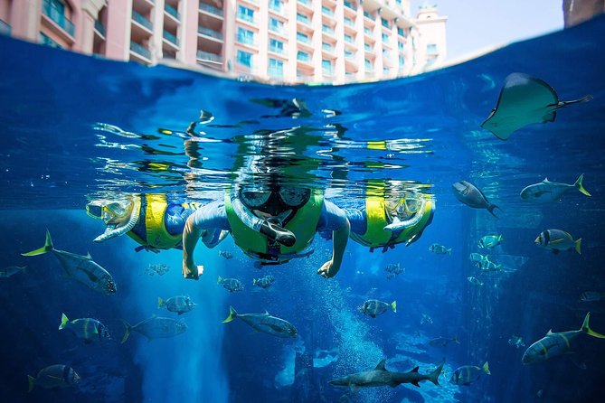 Aquaventure Waterpark With Lost Chambers Aquarium With Transfer Option Available - Common Questions