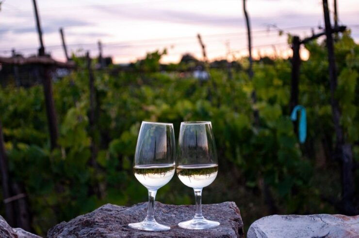Aqueduct Cycle Path With Wine Tasting in the Cellar - Activity Details