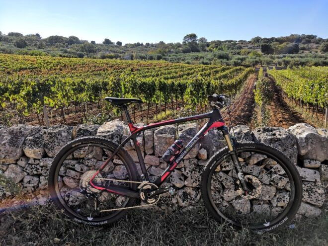 Aqueduct Cycle Path With Wine Tasting in the Cellar - Meeting Point