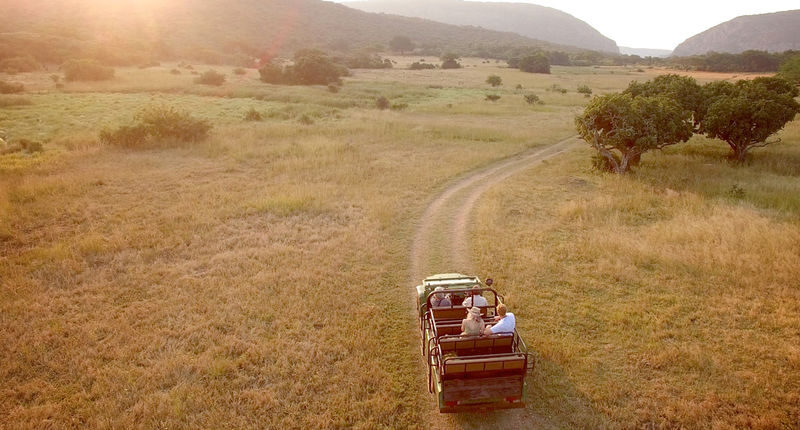 Aquila Private Game Reserve Full-Day Safari with Big Five - How to think about the Hex River wording