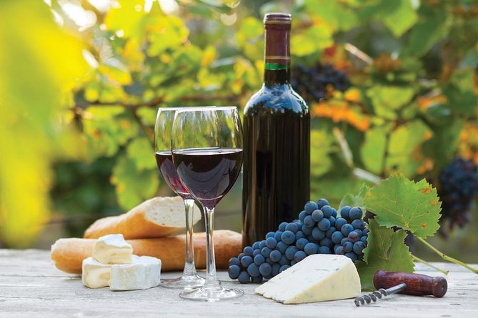 Aquila Safari Game Tour (Groups) - Wildlife Encounters