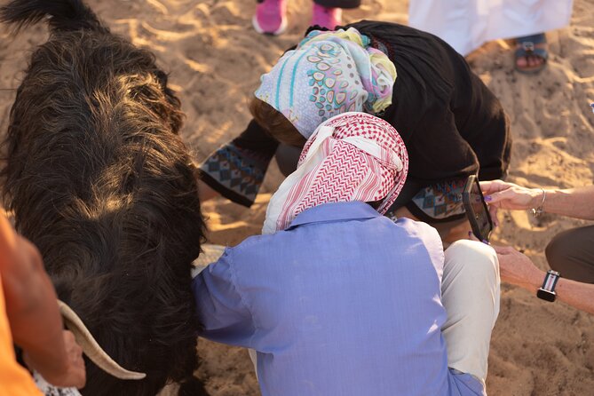 Arabian Bedouin Traditional Savvy - Common Questions