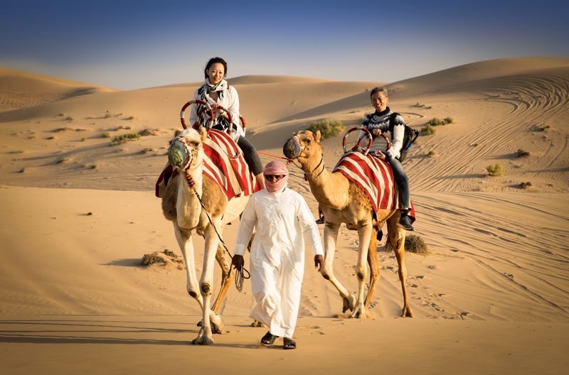 Arabian Desert 4-Hour Guided Safari Experience - Should you book the morning safari?
