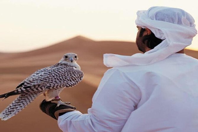 Arabian Desert Experience In Dubai - Cancellation Policy
