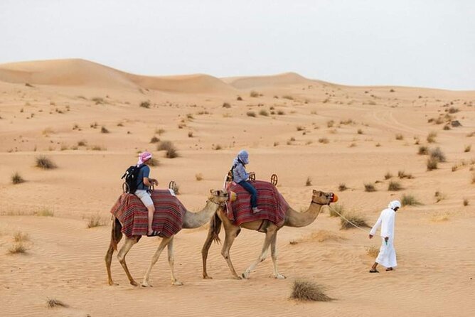 Arabian Desert Safari With Dune Bashing and Camel Riding - Overview and Inclusions
