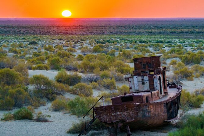Aral Sea One Day Tour From Tashkent - What To Expect