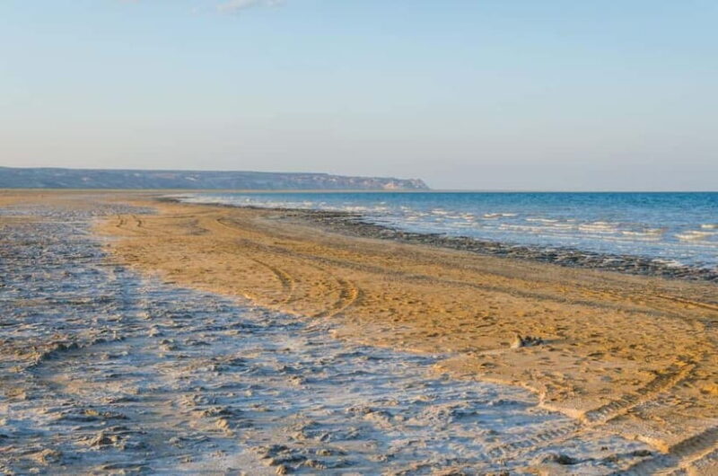 Aral Sea One Day Trip from Nukus. - Final Thoughts