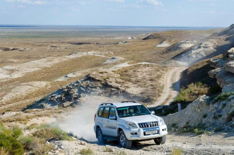 Aral Sea One Day Trip from Nukus. - Authenticity & Cultural Insights