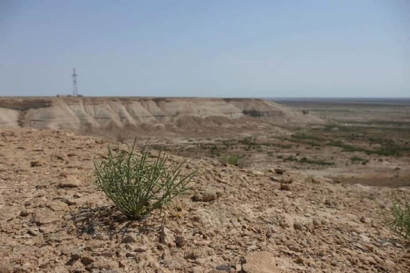 Aral Sea Tour from Nukus 1 night / 2 days - Final Thoughts: Who is This Tour Best For?