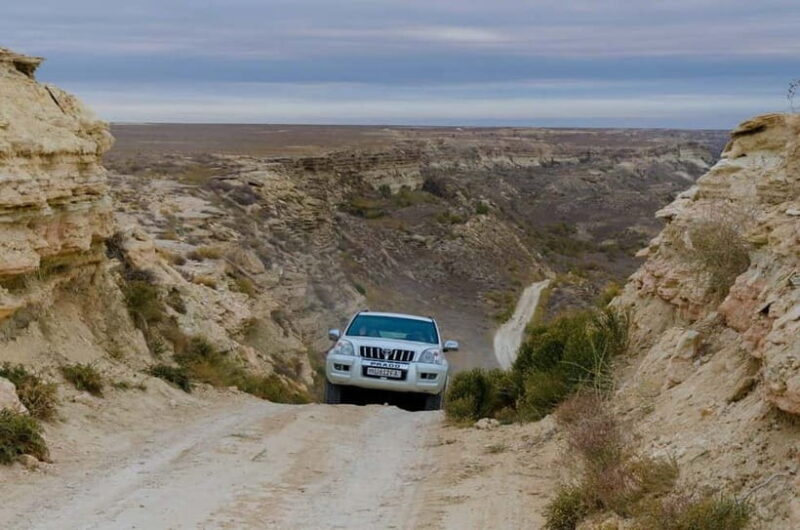 Aral Sea Tour from Nukus 1 night / 2 days - Good To Know  