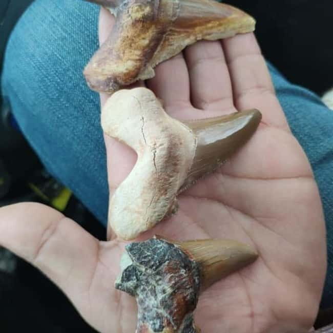 Aral Sea Tour from Nukus 1 night / 2 days - The Sum Up: Is This Tour Right for You?  