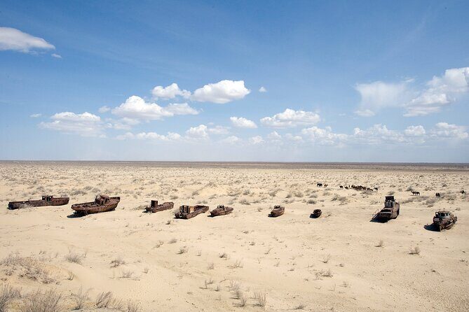 Aral Sea Tour with Khiva-Samarkand and Bukhara and Tashkent - Who Should Consider This Tour?