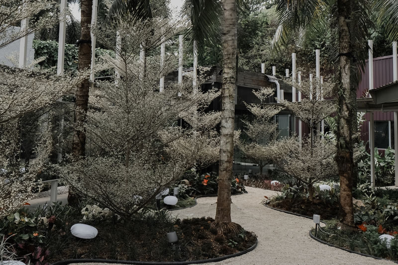 Aramsa - The Garden Spa - What the 90 minutes are worth