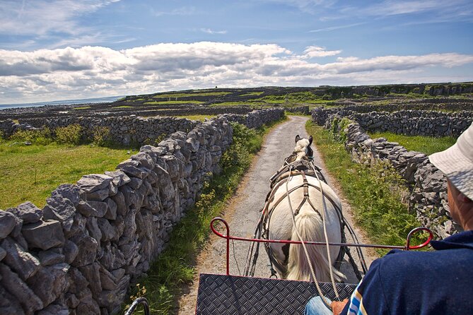Aran Islands & Cliffs of Moher Including Cruise Day Tour Departing From Limerick - Common Questions