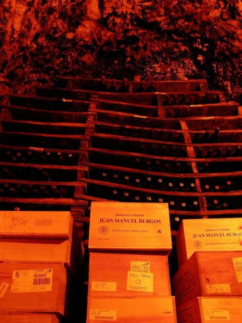 Aranda De Duero: Guided and Dramatized Visit to Medieval Wi - Experience Highlights