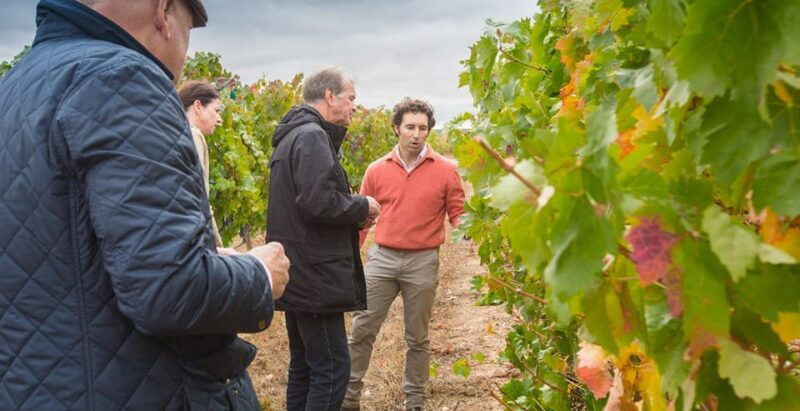 Aranda De Duero: Martín Berdugo Winery - Tour and Tasting - Booking and Cancellation Details