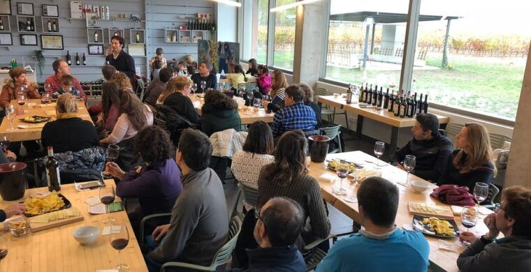 Aranda De Duero: Martín Berdugo Winery - Tour and Tasting - Winemaking Insights