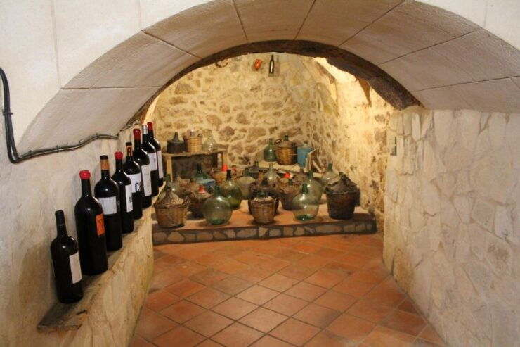 Aranda De Duero: Tour of the Aranda De Duero Wine Museum - Pricing and Duration