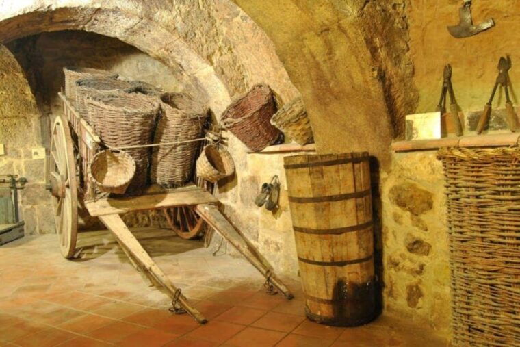 Aranda De Duero: Tour of Underground Cellar and Wine Museum - Itinerary Details