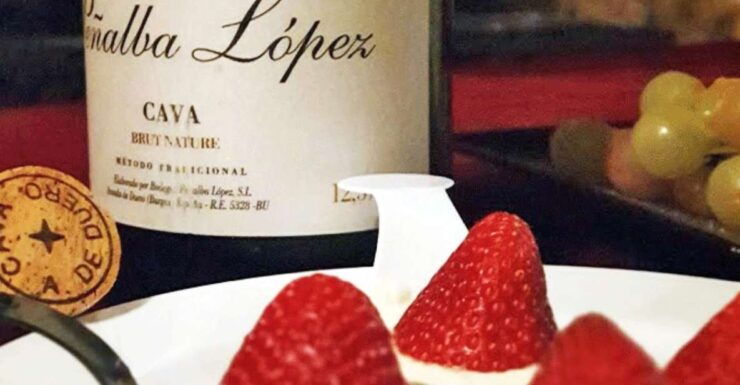 Aranda De Duero: Wine Pairing Tasting Course & Mini Tapas - Wine Tasting Details