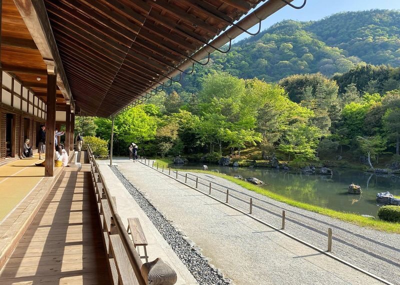 Arashiyama 3-Hour UNESCO Site & Monkey Park Tour - Is $49.25 good value?