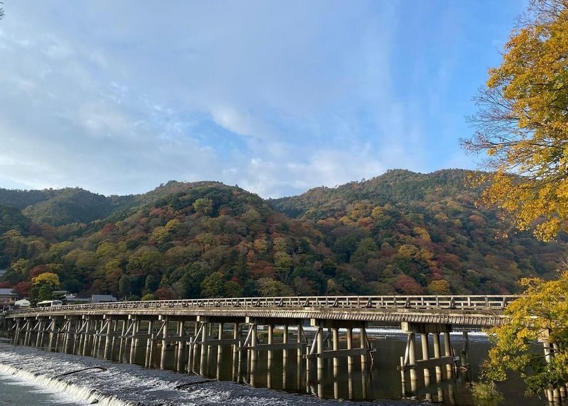 Arashiyama 3-Hour UNESCO Site & Monkey Park Tour - Who should book this Arashiyama tour?