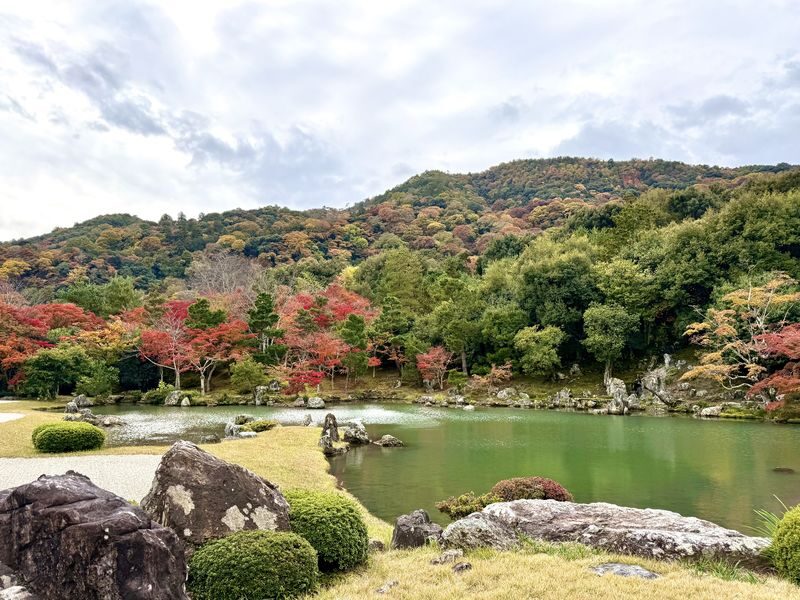 Arashiyama Bamboo Forest Half-day Temple & UNESCO site Tour - The temple and UNESCO site add context