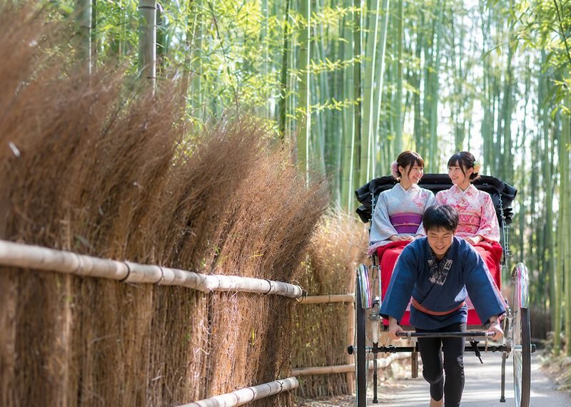 Arashiyama Bamboo Forest & Nara Park Deer & Fushimi Inari Shrine Torii Gate Day Tour (Departing from Osaka/Kyoto) - Price and value: what $44.85 covers