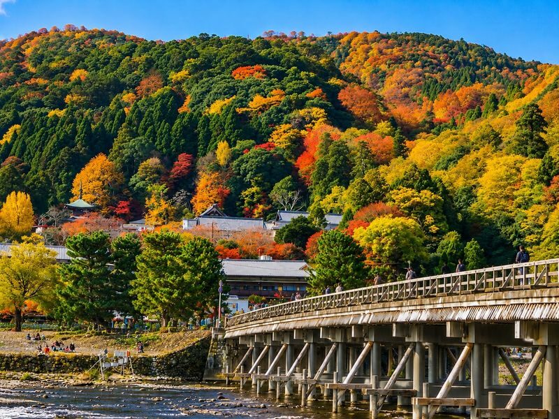 Arashiyama Bamboo Forest & Nara Park Deer & Fushimi Inari Shrine Torii Gate Day Tour (Departing from Osaka/Kyoto) - Timing, meeting points and what to bring