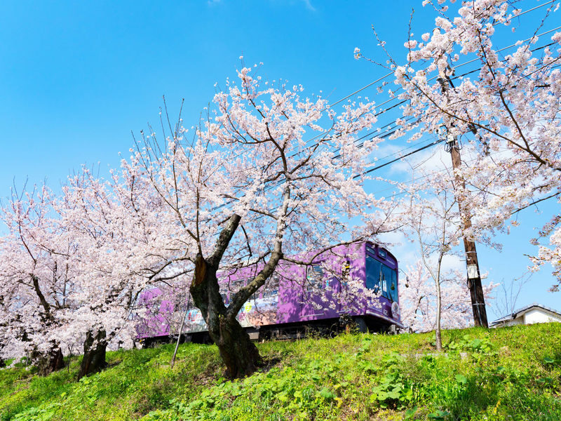 Arashiyama Gourmet Coupon + Randen 1 Day Free Ticket - The highlights at a glance