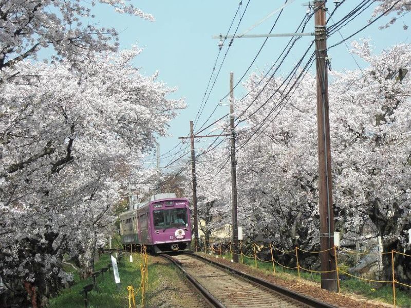 Arashiyama Gourmet Coupon + Randen 1 Day Free Ticket - Use the food coupon as a tasting trail
