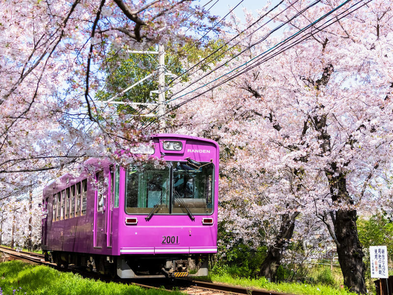 Arashiyama Gourmet Coupon + Randen 1 Day Free Ticket - Link Arashiyama with temples and other stops