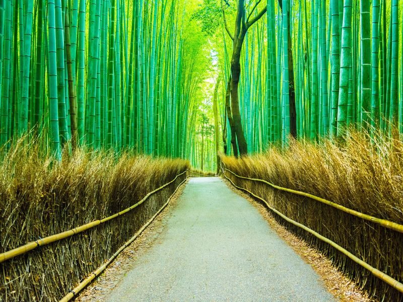 Arashiyama Gourmet Coupon + Randen 1 Day Free Ticket - Add Toei Kyoto Studio Park if it fits your day