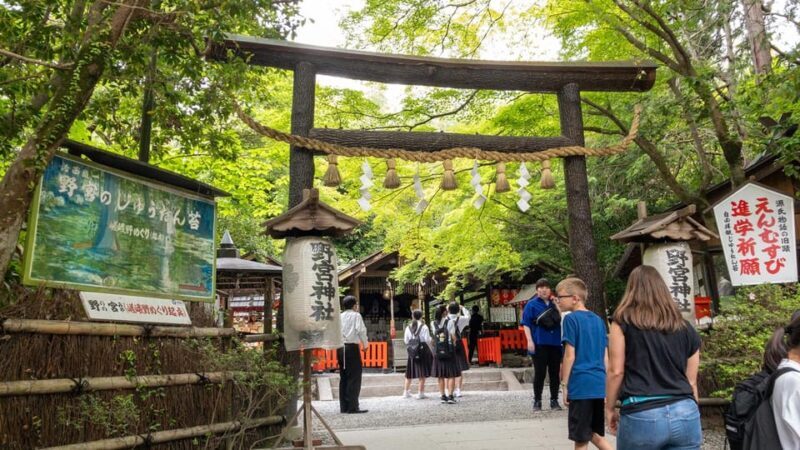 Arashiyama Hidden Gems: Walking Tour escaping crowds - Practical Tips & Considerations