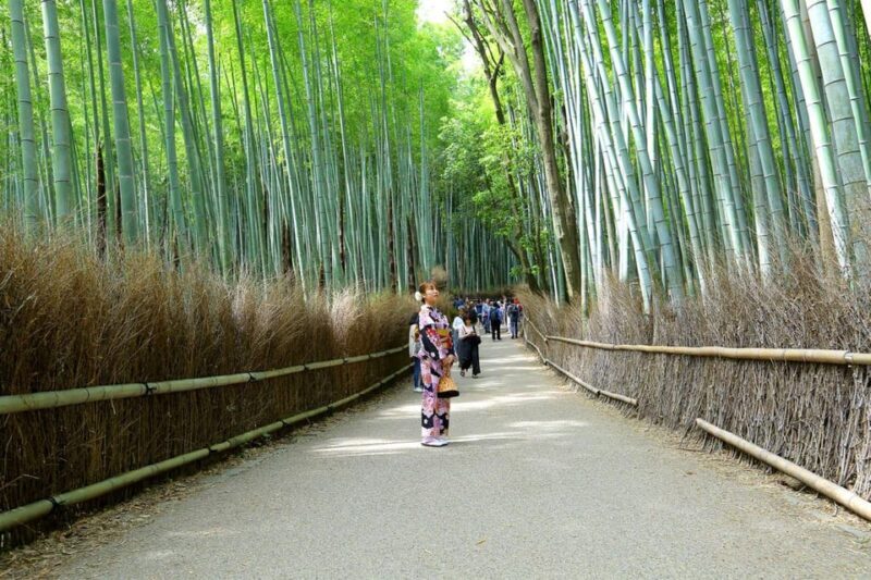 Arashiyama Highlights with Matcha Experience - Practical Details and What to Expect
