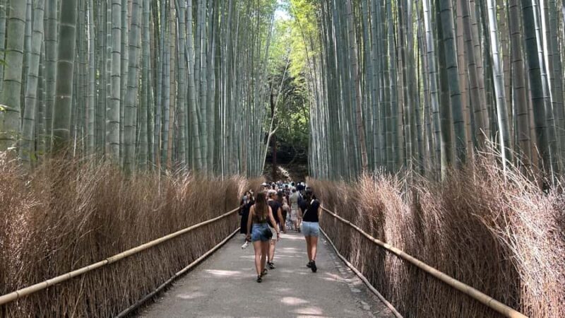 Arashiyama Morning Escape: Bamboo Grove & Zen Temple - FAQs