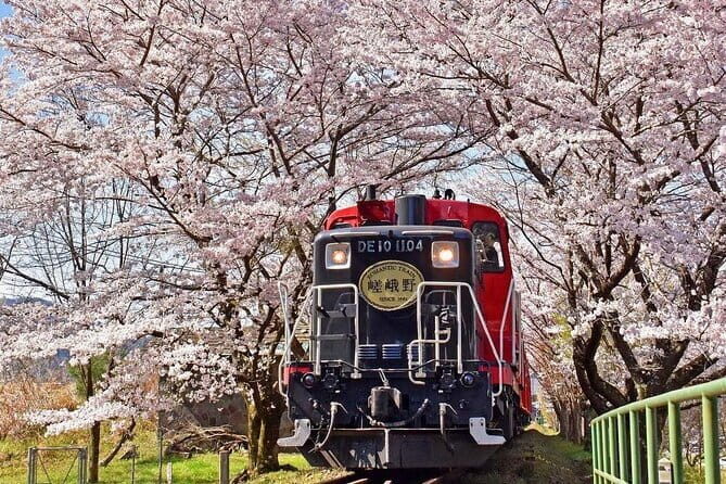 Arashiyama Sagano Romantic TrainFushimi Inari Taisha & Nara Park - Good To Know