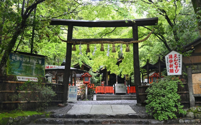 Arashiyama Sagano Train & Hozugawa River Full-Day Cruise - The appeal of combining train, grove, and river
